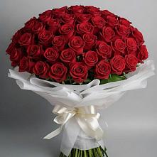 Букет 101 Красная роза Блэк Мэджик в Рыболово