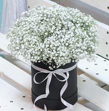 Цветочная композиция из Гипсофила в шляпной коробке #REPLACE_PRED# Рыболово