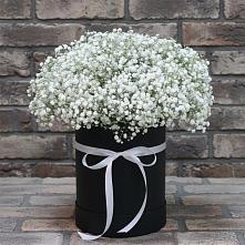 Цветочная композиция из Гипсофила в шляпной коробке #REPLACE_PRED# Рыболово